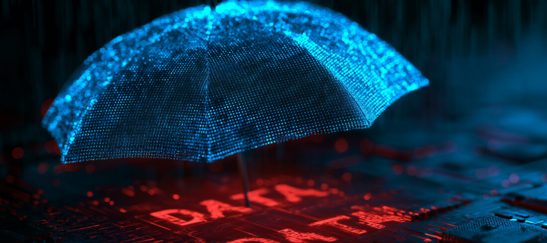 Denver IT Support Data Digital Security Umbrella